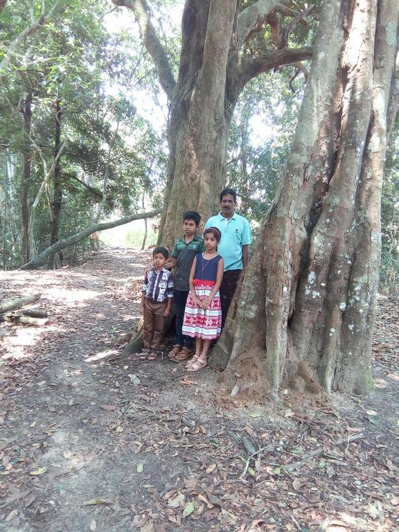 Wayanad Homestay Mananthavady Zewnętrze zdjęcie